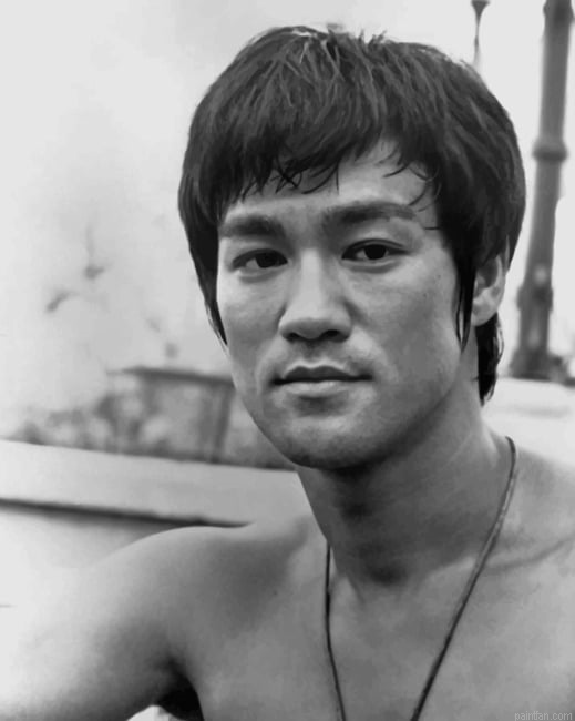 Black And White Bruce Lee New Paint By Numbers.png