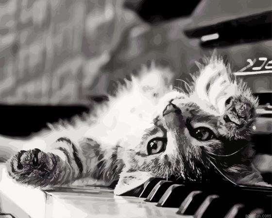 Black And White Cat On Piano Paint By Numbers.png