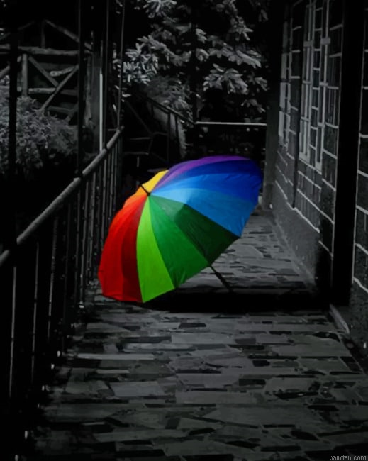 Black And White Colorful Umbrella New Paint By Numbers.png