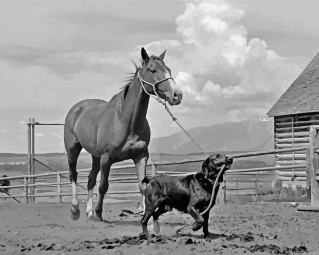 Black And White Dog Horse Paint By Numbers.png