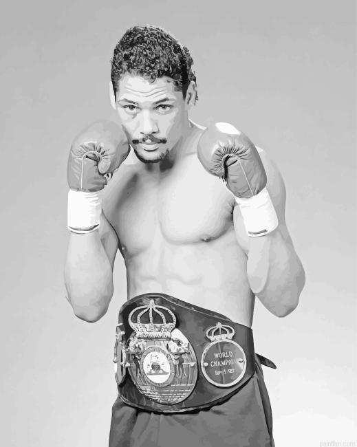 Black And White Hill Boxer Paint By Numbers.png
