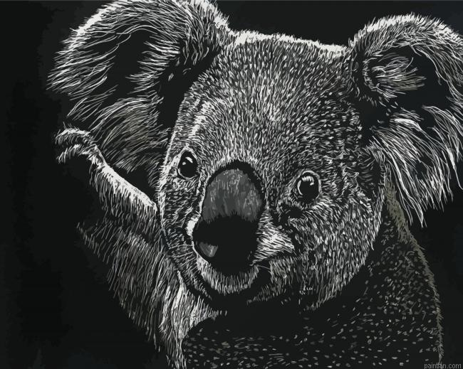 Black And White Koala Paint By Numbers.png