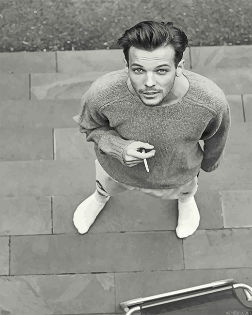 Black And White Louis Tomlinson New Paint By Numbers.png