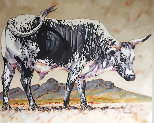 Black And White Nguni Cattle Paint By Number.png