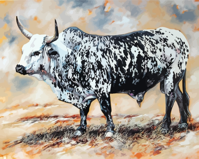 Black And White Nguni Paint By Number.png