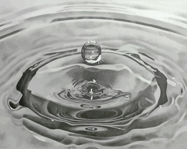 Black And White Realistic Water Drop Paint By Number.png