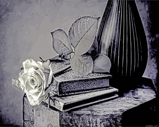 Black And White Rose Flower Paint By Number.png