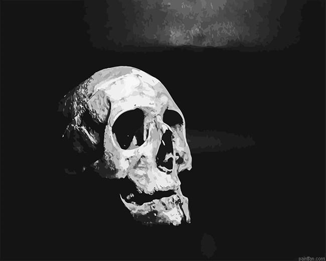 Black And White Skull New Paint By Numbers.png