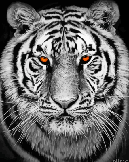 Black And White Tiger Paint By Numbers.png
