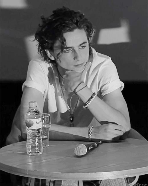 Black And White Timothee Chalamet New Paint By Numbers.png