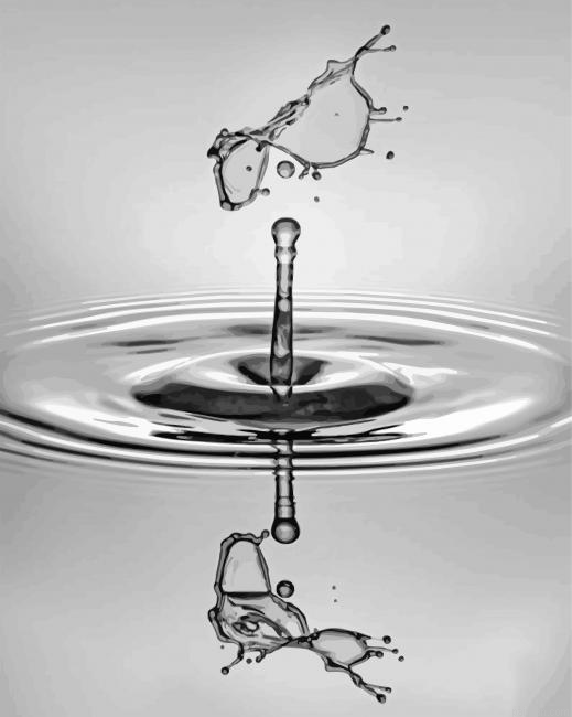 Black And White Water Drop Paint By Number.png