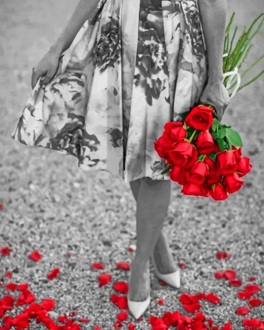 Black And White Woman With Red Flowers New Paint By Numbers.png