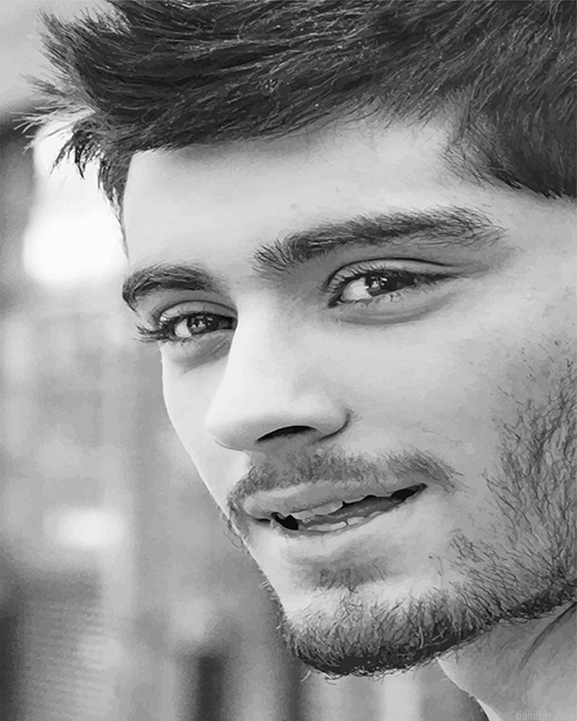 Black And White Zayn Malik New Paint By Numbers.png