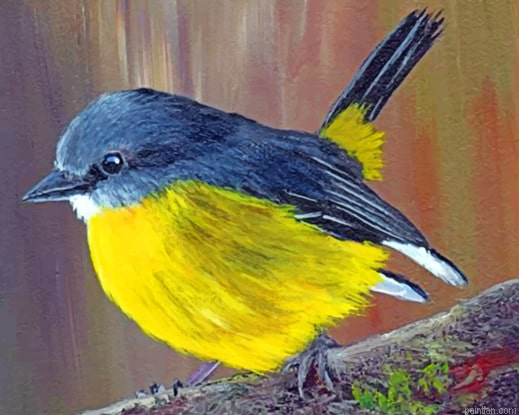 Black And Yellow Bird Animals Paint By Numbers.png