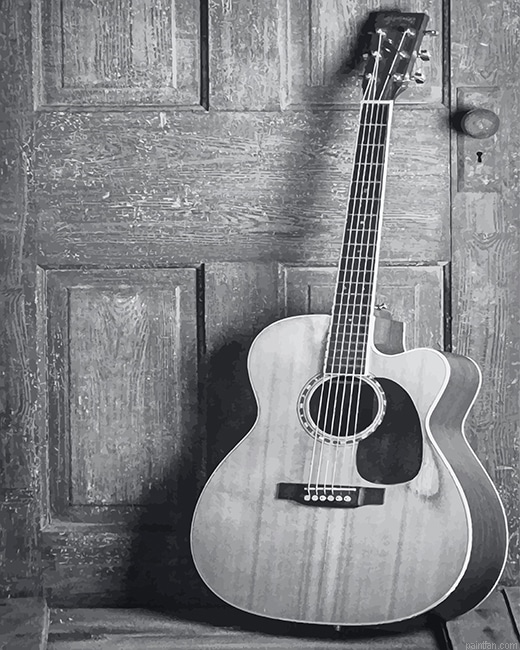 Black And White Guitar New Paint By Numbers.png