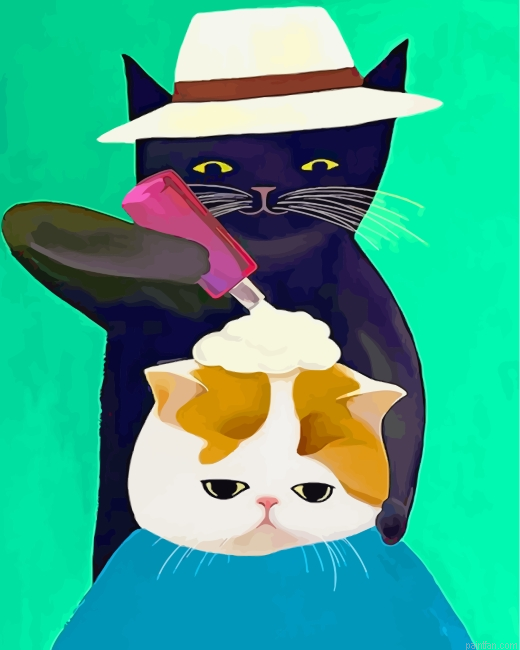 Black Barber Cat Paint By Number.png