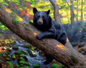 Black Bear Paint By Numbers.png