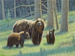 Black Bears Paint By Numbers.png