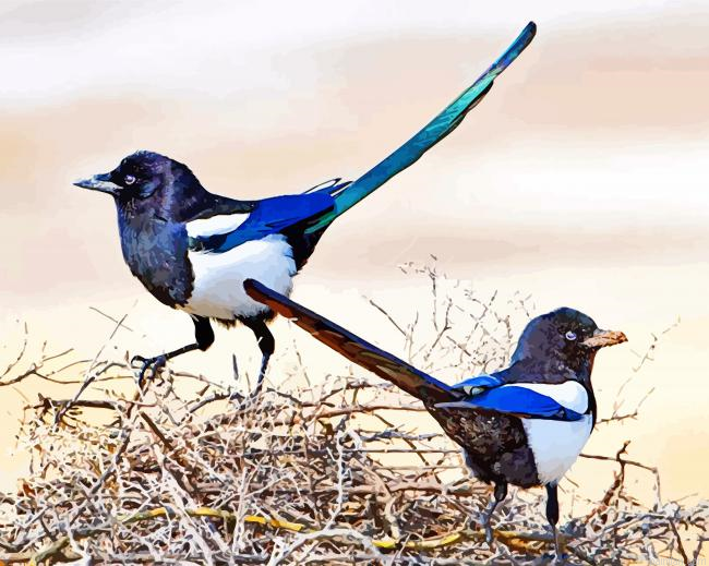 Black Billed Magpie Paint By Number.png