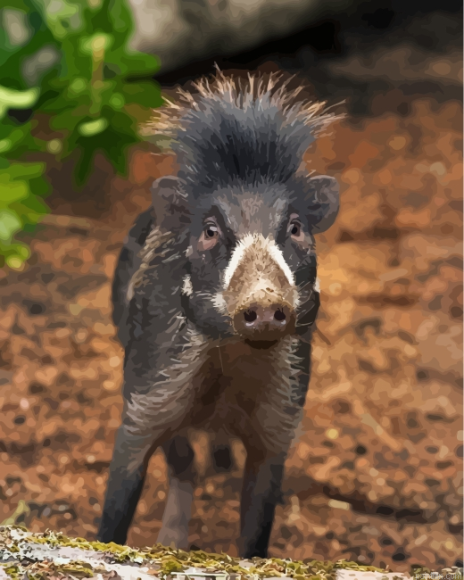Black Boar Paint By Number.png