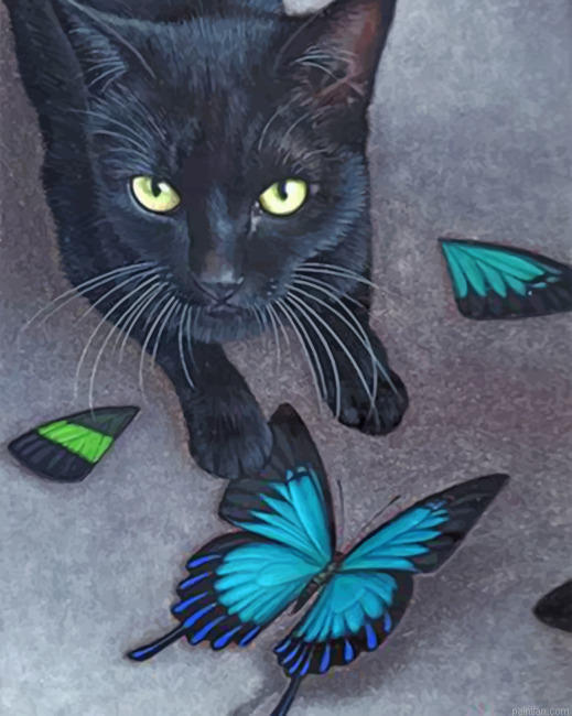 Black Cat And Butterflies Paint By Numbers.png