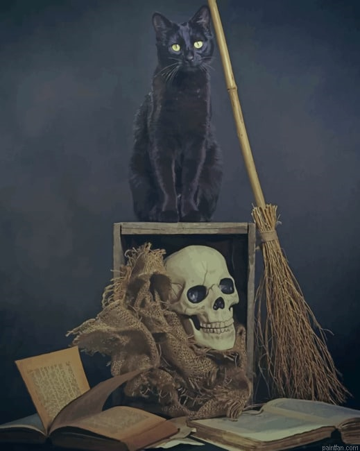 Black Cat And Skull New Paint By Numbers.png