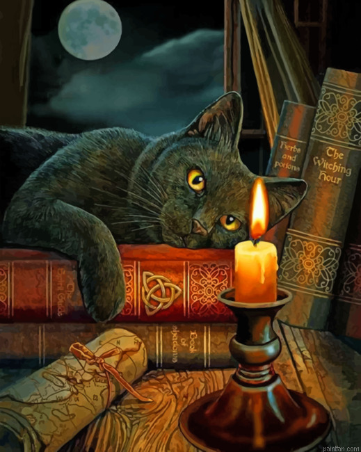 Black Cat Staring At A Candle Paint By Numbers.png