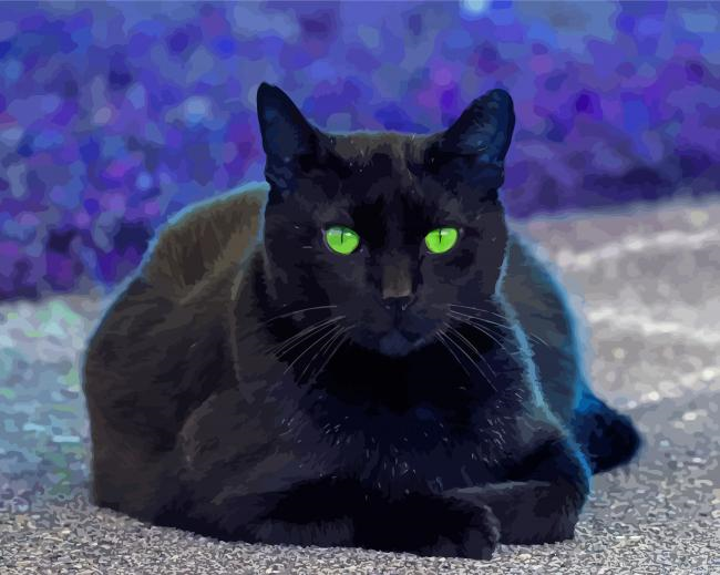 Black Cat With Green Eyes Paint By Numbers.png
