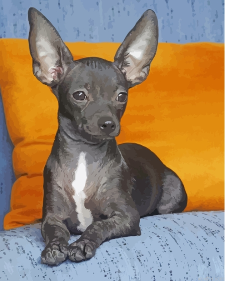 Black Chihuahua Paint By Numbers.png