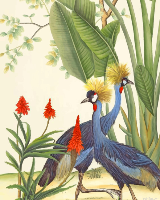 Black Crowned Crane Paint By Numbers.png