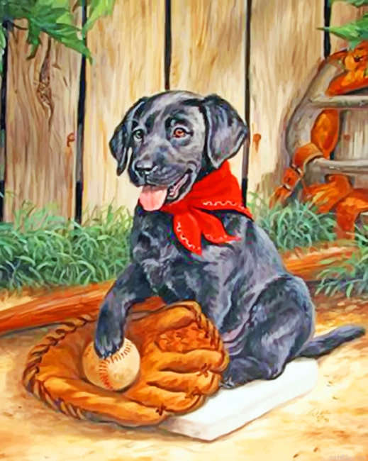 Black Dog Animals Paint By Numbers.png