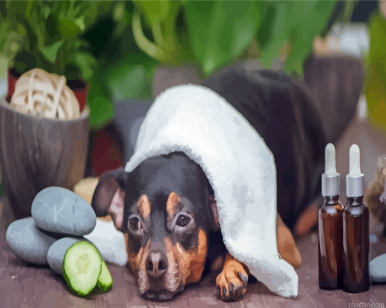 Black Dog Spa Paint By Numbers.png