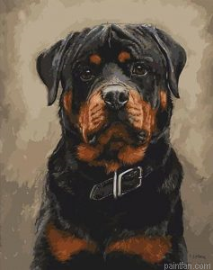 Black Dogs Paint By Numbers.png