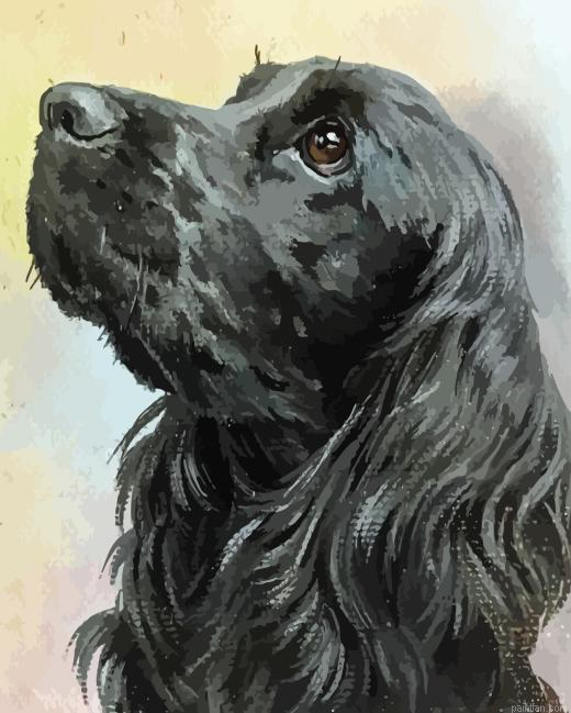 Black English Spaniel Paint By Numbers.png