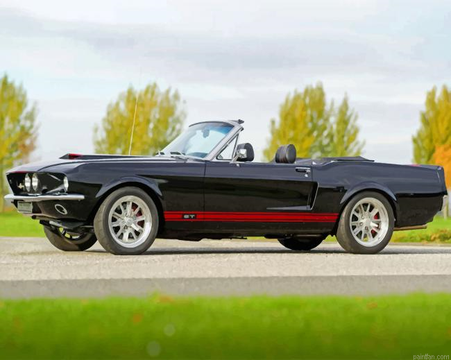 Black Ford 1967 Gt 500 Paint By Number.png