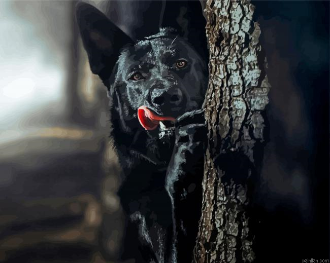 Black German Shepherd Dog Paint By Numbers.png