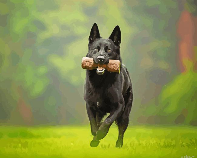 Black German Shepherd Paint By Numbers.png