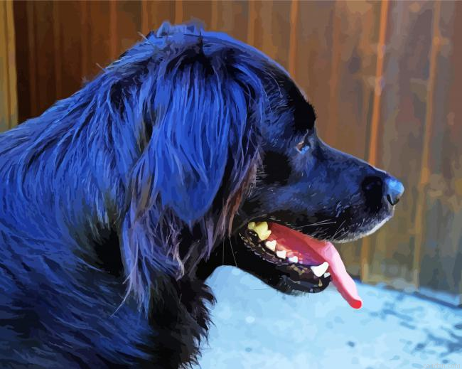 Black Golden Retriever Side View Paint By Numbers.png
