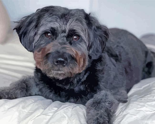 Black Goldendoodle Paint By Numbers.png
