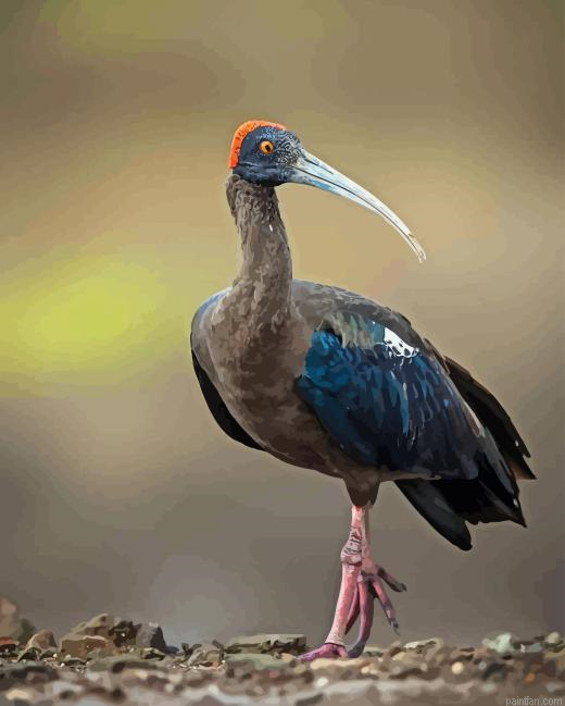 Black Ibis Paint By Numbers.png