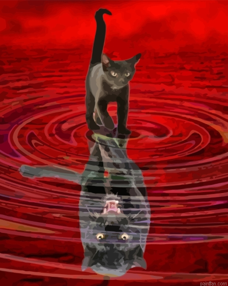 Black Kitten In Reflection Paint By Numbers.png