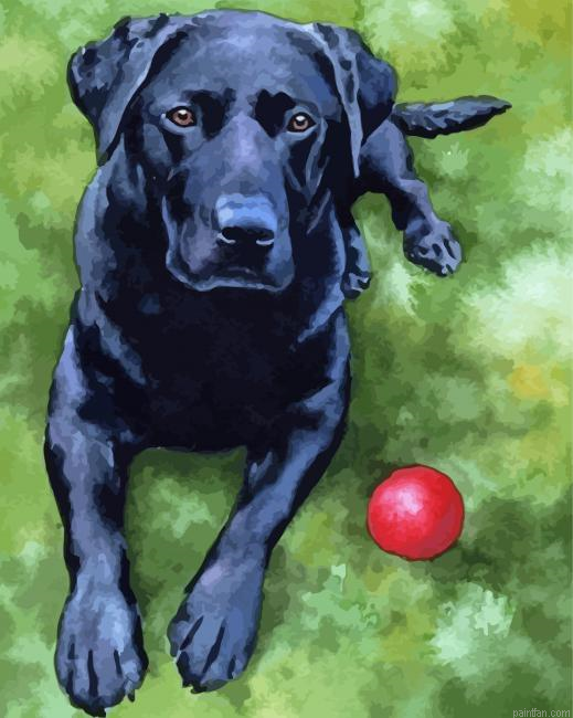 Black Labrador Art Paint By Numbers.png