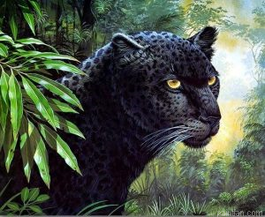 Black Leopard Paint By Numbers.png