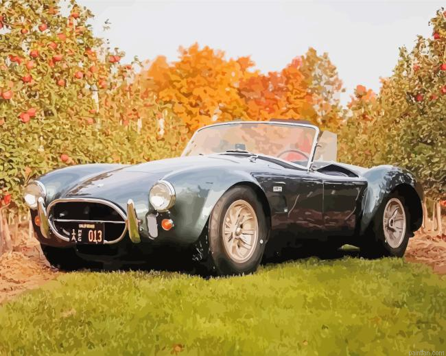 Black Shelby Cobra Car Paint By Numbers.png
