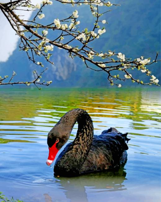 Black Swan Bird Paint By Number.png