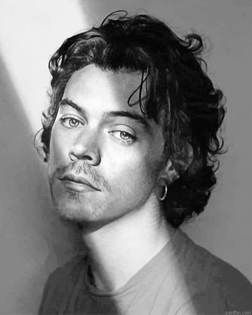 Black White Harry Edward Styles New Paint By Numbers.png