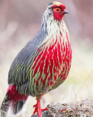 Blood Pheasant Paint By Number.png
