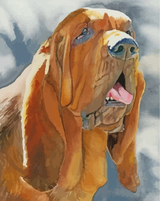Bloodhound Dog Art Paint By Number.png