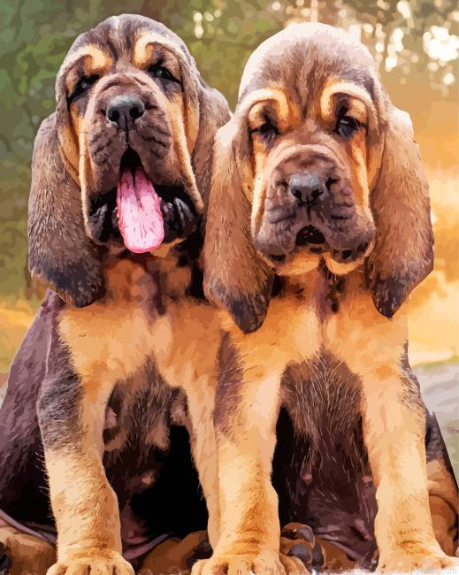 Bloodhound Puppies Paint By Number.png