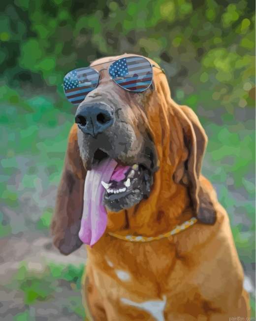 Bloodhound With Sunglasses Paint By Number.png